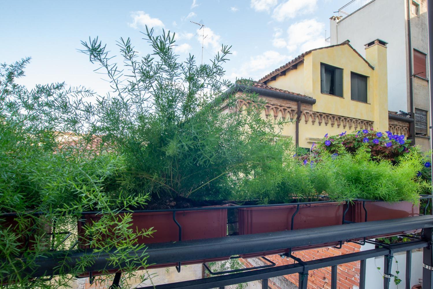 Apartment Giustiniani